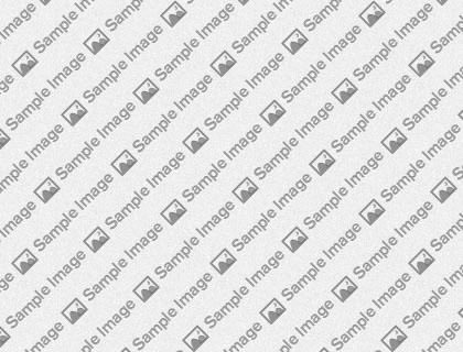 Responsive Layout